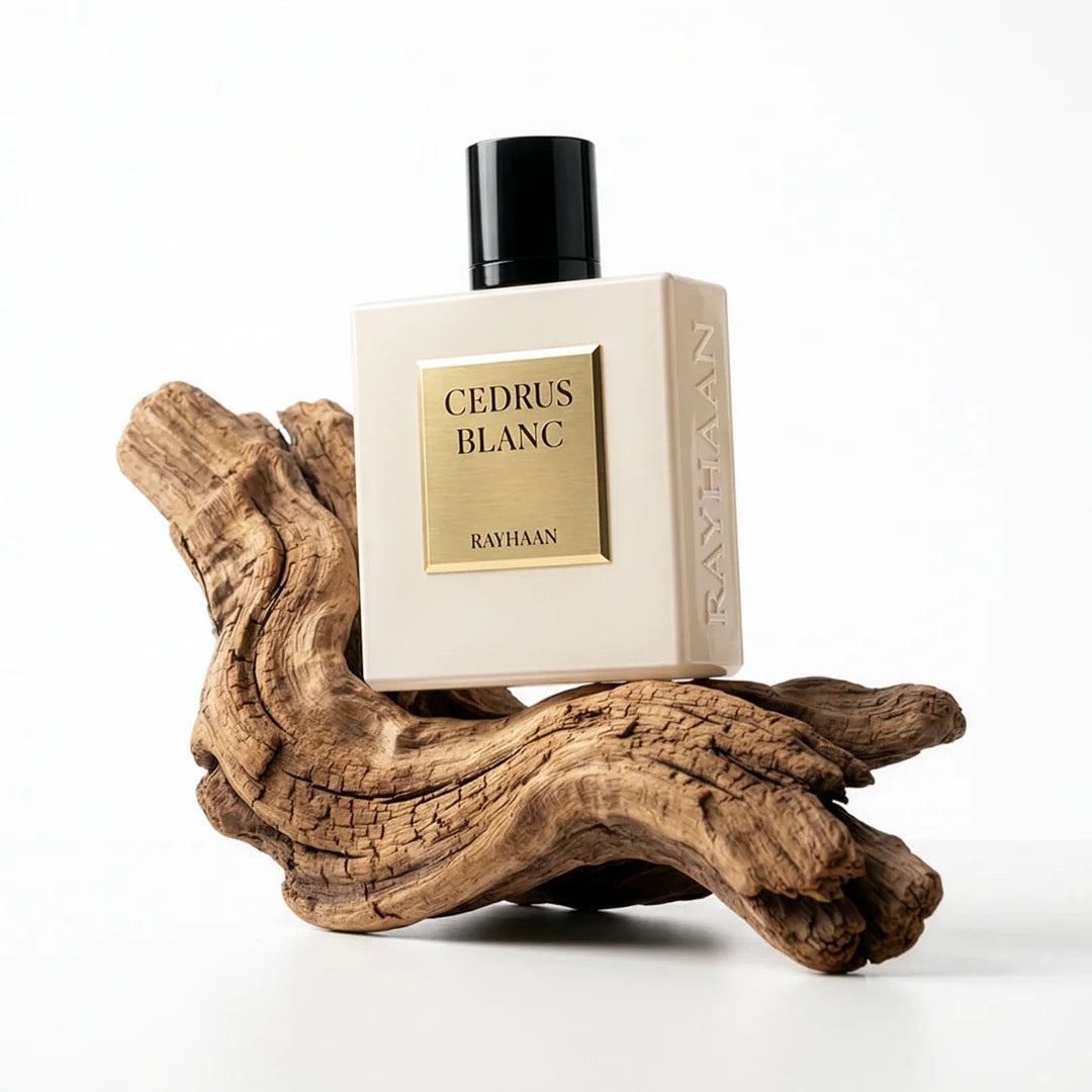 Cedrus Blanc by Rayhaan