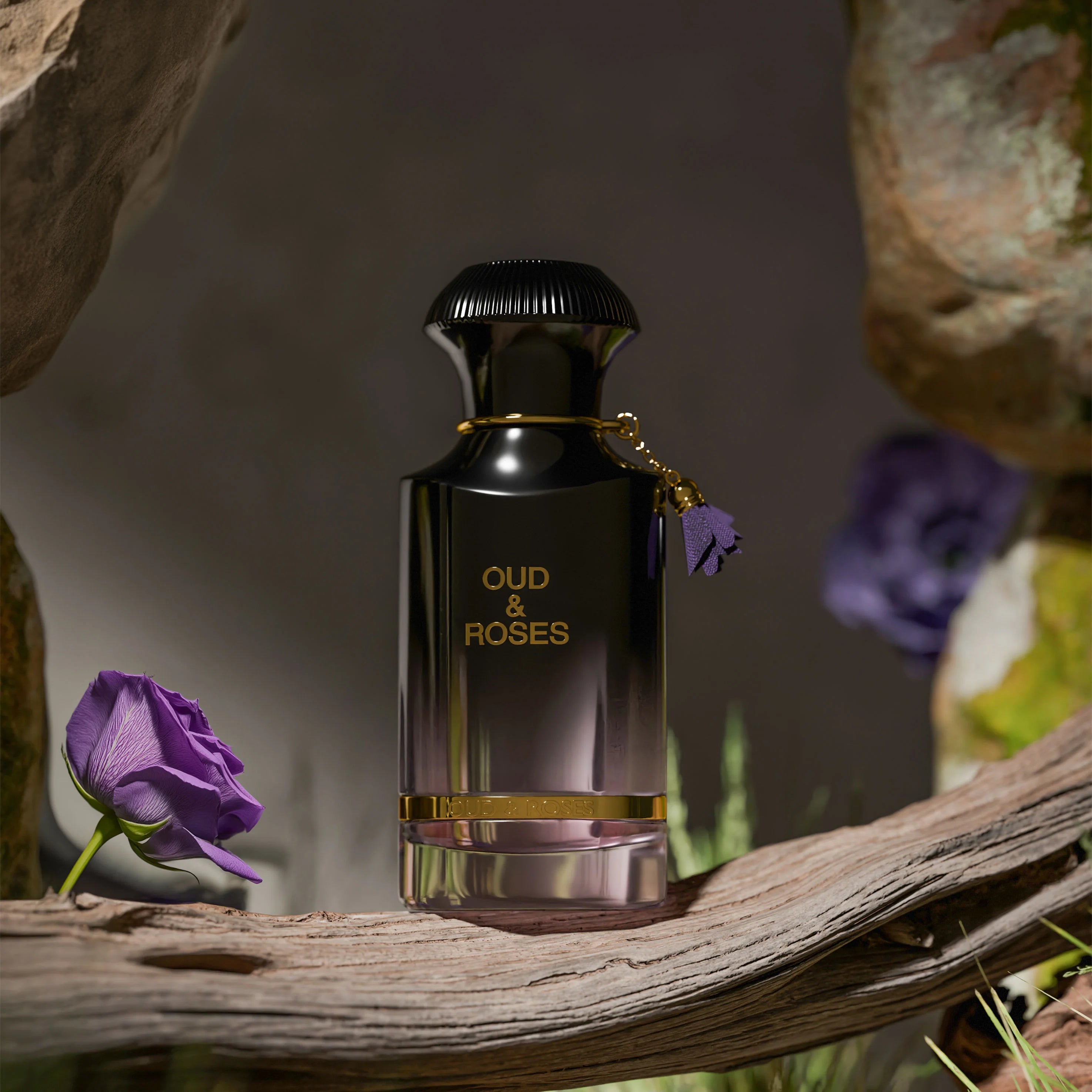 Oud & Roses by Ahmed Al Maghribi